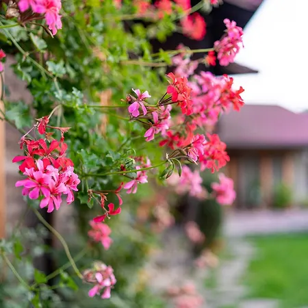 Kandaphery Guest house 3*