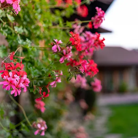 Guest house Kandaphery